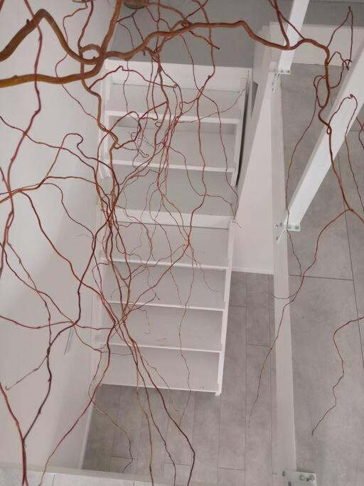 White Door Apartments Heart Of Odessa 4 Extérieur photo